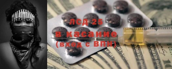 мет Елабуга