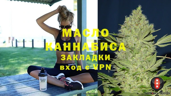 скорость Ельня