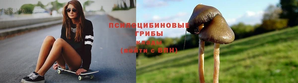 скорость Ельня