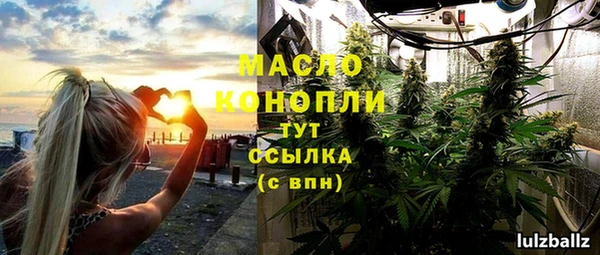 мет Елабуга
