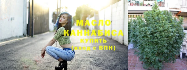 скорость Ельня
