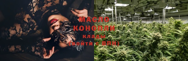 мет Елабуга