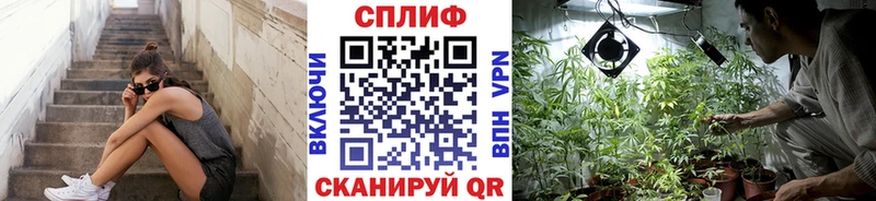Бошки марихуана планчик  Купить где  Серов 